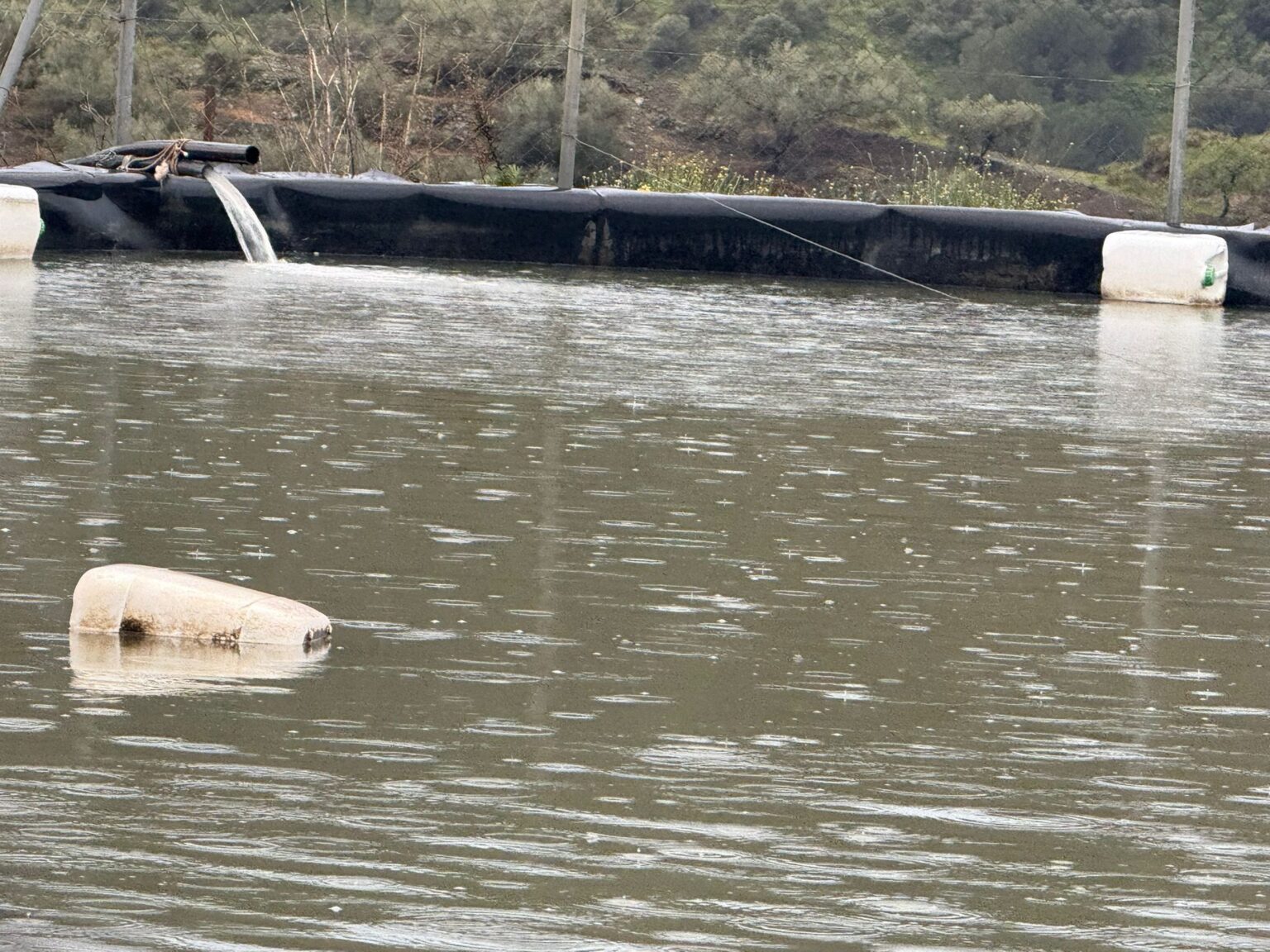Impermeabilización de piscinas y estanques con liners de PVC en Málaga
